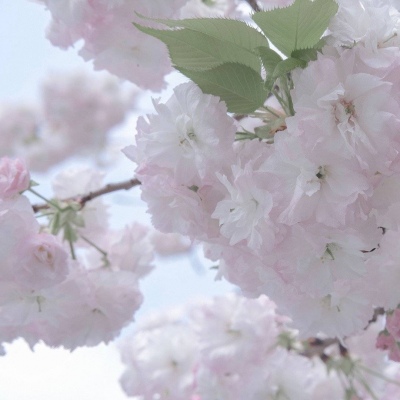 新郑福瑞交流群